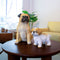 Escultura Perro Pug Pets 27x18x30.5 cm