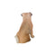 Escultura Perro Pug Pets 27x18x30.5 cm