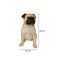 Escultura Perro Pug Pets 27x18x30.5 cm