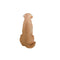 Escultura Perro Labrador Pets 25.5x18.2x32 cm