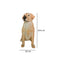 Escultura Perro Labrador Pets 25.5x18.2x32 cm