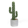 Matera Cactus Redondo Verde Garden 9X27cm
