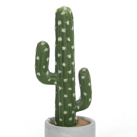 Matera Cactus Redondo Verde Garden 9X27cm