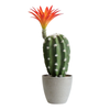 Matera Cactus Flor Verde Naranja Garden 9.5X29cm