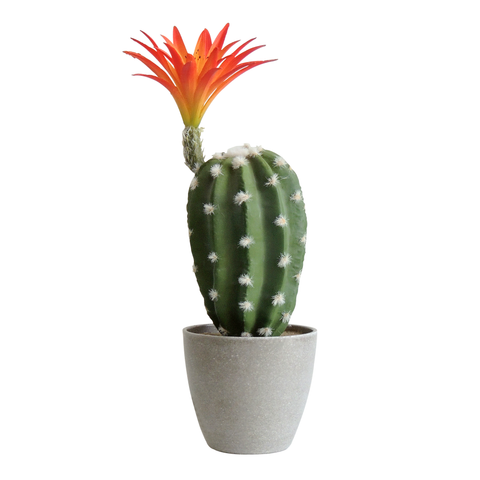 Matera Cactus Flor Verde Naranja Garden 9.5X29cm