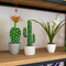 Matera Cactus Flor Verde Naranja Garden 9.5X29cm