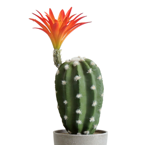 Matera Cactus Flor Verde Naranja Garden 9.5X29cm