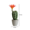 Matera Cactus Flor Verde Naranja Garden 9.5X29cm
