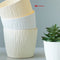 Maceta Beige Garden 10.5 x 9.5 cm