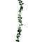 Enredadera hiedra pequeña Verde Garden 100 cm