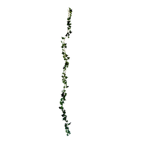 Enredadera hiedra grande Verde Garden 180 cm