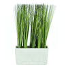Matera pasto Multicolor Plantas 14.5 x 6.6 x 27 cm