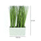 Matera pasto Multicolor Plantas 14.5 x 6.6 x 27 cm