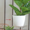 Maceta Blanco Garden 13 x 10.8 cm