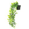 Matera Ficus Plástico Multicolor Jardín 18x45cm