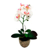 Matera Orquídea Plástico Rosa Jardín 11x40cm