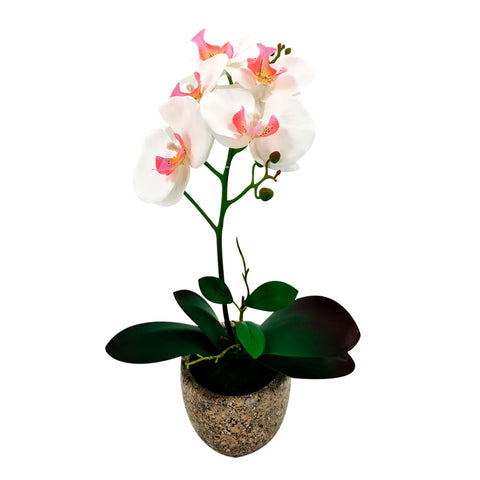 Matera Orquídea Plástico Rosa Jardín 11x40cm