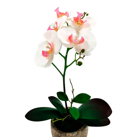 Matera Orquídea Plástico Rosa Jardín 11x40cm