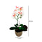 Matera Orquídea Plástico Rosa Jardín 11x40cm