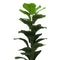 Árbol Filodrendo Plástico Multicolor Jardín 27x62cm