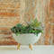 Bowl Patas Cemento Gris Concrete 26.5x15cm