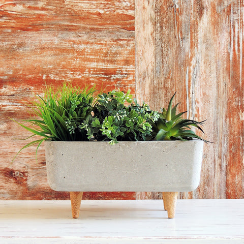 Terrario Patas Cemento Gris Concrete 30X15CM