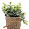 Matera yute hojas Multicolor Garden 10 x 10 x 15 cm