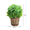 Matera canasta Multicolor Garden 13 x 13 x 18 cm