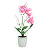 Matera orquídea Rosado Jardín 7.5 x 7.5 x 33 cm