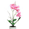 Matera orquídea Rosado Jardín 7.5 x 7.5 x 33 cm