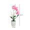 Matera orquídea Rosado Jardín 7.5 x 7.5 x 33 cm