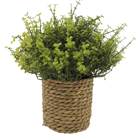 Planta artificial Jade Verde Jardin 20x10x23 cm