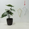 Aplique Diamante Pared Blanco Wire 16.5x28cm