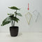 Aplique Diamante Pared Oro Wire 16.5x28cm