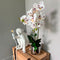 Planta Orquídea Artificial Plástico Blanco Jardín 29x55 cm