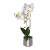 Planta Orquídea Artificial Plástico Blanco Jardín 29x55 cm