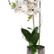 Planta Orquídea Artificial Plástico Blanco Jardín 29x55 cm