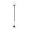 Brisero Grande Plata Siberia 18X110.5cm