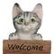 Escultura Gato Welcome Pets 12x9.5x19 cm