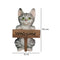 Escultura Gato Welcome Pets 12x9.5x19 cm