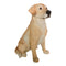 Escultura Perro Labrador Pets 25.5x18.2x32 cm