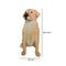 Escultura Perro Labrador Pets 25.5x18.2x32 cm