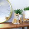 Escultura Gato Pets 13x12x17.5 cm