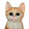 Escultura Gato Pets 13x12x17.5 cm