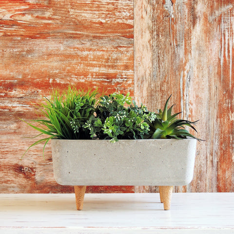 Terrario Patas Cemento Gris Concrete 30X15CM