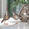 Escultura Pajaro Gris Emperador 14.5X21cm