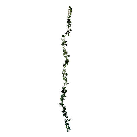 Enredadera hiedra grande Verde Garden 180 cm