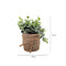 Matera yute hojas Multicolor Garden 10 x 10 x 15 cm