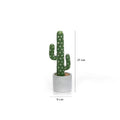 Matera Cactus Redondo Verde Garden 9X27cm