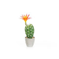 Matera Cactus Flor Verde Naranja Garden 9.5X29cm